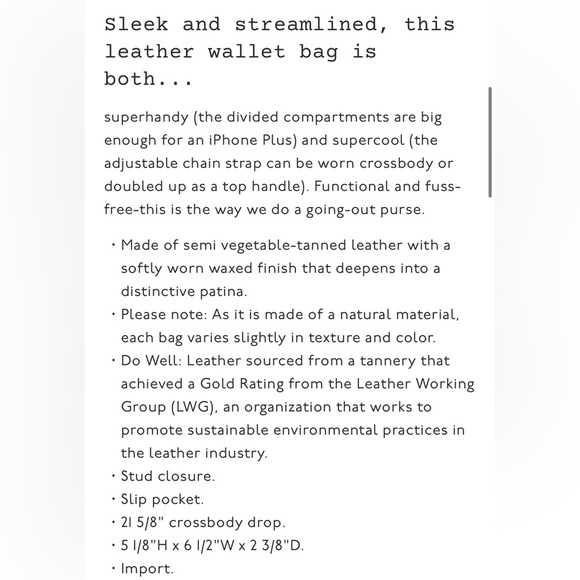 NWT Madewell The Chain Crossbody - Picture 6 of 12